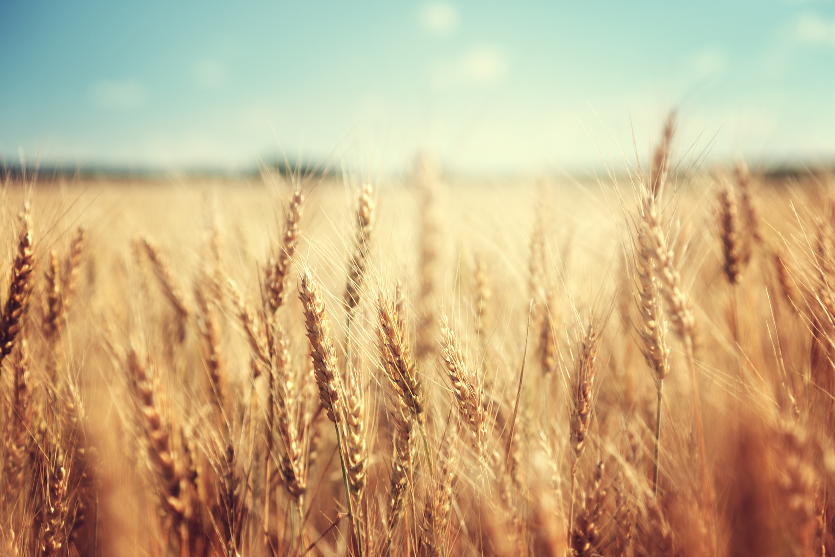 durch glutenfreie ernährung abnehmen